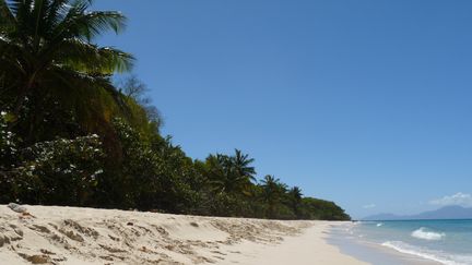 Les Antilles attirent les vacanciers pour les fêtes de fin d'année. Ci-contre une plage de l'île de Marie-Galante,&nbsp;qui dépend de la Guadeloupe. (VINCENT PILLET / RADIOFRANCE)