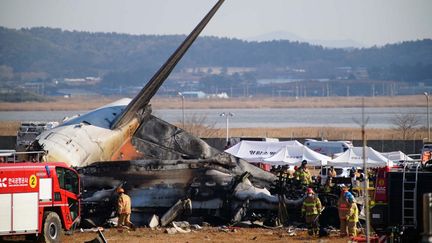 Les restes du Boeing de la compagnie Jeju Air après son accident à l'aéroport de Muan (Corée du Sud), le 29 décembre 2024. (YONHAP/AFP)