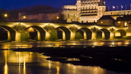 Le Val de Loire, ses nombreux villages et c&eacute;l&egrave;bres ch&acirc;teaux comme le ch&acirc;teau Ambroise.&nbsp; (EMILIE CHAIX / PHOTONONSTOP / AFP)