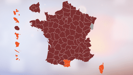 CARTE. Primaire de la gauche : découvrez qui de Benoît Hamon ou de Manuel Valls est arrivé en tête dans votre département (NICOLAS ENAULT)