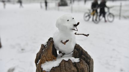 Sur le champs de Mars à Paris, des personnes se sont amusées à faire un bonhomme de neige. (MAXPPP)