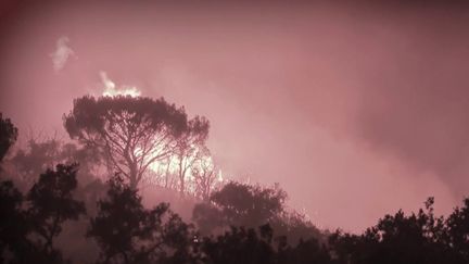 Deux gendarmes récompensés pour leur courage lors des terribles incendies du Var en 2021