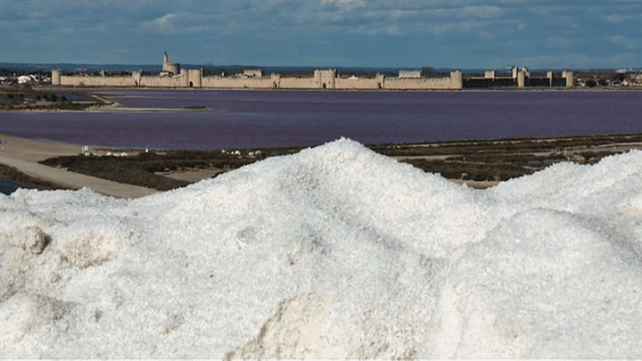 Roschdy Zem a choisi les décors des salins du midi à Aigues-Mortes pour son prochain film
 (France 2 / Culturebox)