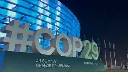 COP29 : un accord au goût amer pour les pays en développement (franceinfo)