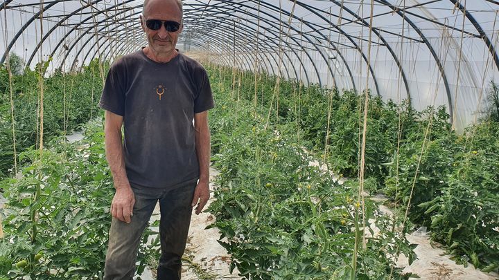 Yves Guélou, maraîcher sur l'île de Groix (Morbihan), est contraint de limiter l'arrosage de ses légumes à cause de la sécheresse, en mai 2022.&nbsp; (BORIS HALLIER / RADIO FRANCE)