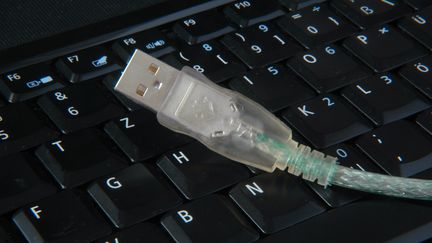 Contrairement &agrave; son aga&ccedil;ant grand fr&egrave;re, le c&acirc;ble USB de demain pourra se brancher dans n'importe quel sens. (BERLINER VERLAG / STEINACH / DPA-ZENTRALBILD / AFP)