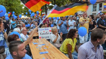 Des militants de l'Afd en meeting à Brandebourg en Allemagne, en août 2019.&nbsp; (PATRICK PLEUL / DPA-ZENTRALBILD)