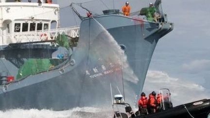 Un bateau pneumatique de l'organisation Sea Shepherd s'oppose à la chasse d'un baleinier japonais durant la campagne 2012-2013. (Sea Sheperd)