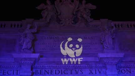 Le logo du WWF projeté sur la basilique Saint-Pierre, à Rome, en 2016. (VINCENZO PINTO / AFP)