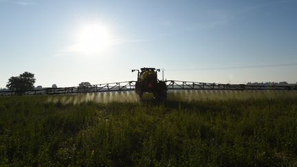 Un agriculteur français répand du glyphosate dans un champ à Saint-Germain-sur-Sarthe (Sarthe), le 16 septembre 2019.&nbsp; (JEAN-FRANCOIS MONIER / AFP)