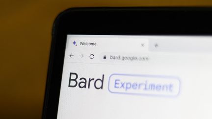 Le chatbot d'intelligence artificielle générative Bard, créé par Google. (JAKUB PORZYCKI / NURPHOTO / AFP)