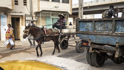 Dans les rues de Dakar, de plus en plus de charrettes tirées par des chevaux transportent des marchandises, mais aussi des passagers. (JOHN WESSELS / AFP)