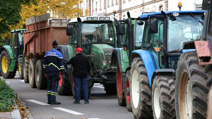 Mobilisation d'agriculteurs à Strasbourg, le 21 octobre 2024. (FREDERICK FLORIN / AFP)