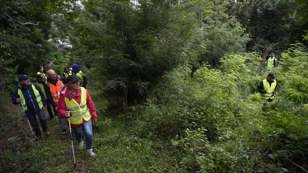 Equipés de gilets jaunes et encadrés par des gendarmes, ces bénévoles venus de toute la France fouillent les zones boisées de&nbsp;Pont-de-Beauvoisin (Isère), samedi 2 septembre 2017. (PHILIPPE DESMAZES / AFP)