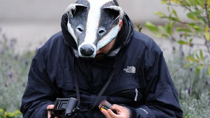 Un manifestant en marge d'un flashmob pour sauver les blaireaux &agrave; Londres&nbsp;(Royaume-Uni), le 21 octobre 2012.&nbsp;L'abattage de ces animaux a &eacute;t&eacute;&nbsp;decid&eacute; par le gouvernement britannique pour lutter contre la prolif&eacute;ration de la tuberculose bovine. (CARL COURT / AFP)