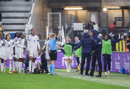 Le sélectionneur Hervé Renard exclu face à la Suède, le 9 avril 2024 à Göteborg. (ADAM IHSE / AFP)