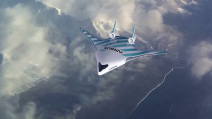 Climat : l'avion électrique, moyen de locomotion du futur ? (FRANCE 2)