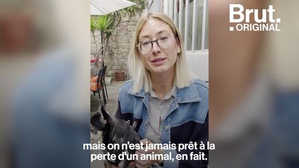 Pendant ce temps-là, cette entreprise française a décidé d'offrir un jour de congé payé en cas de décès de l'animal de compagnie d'un salarié...