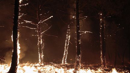 Feu de for&ecirc;t pr&egrave;s de Leon (Espagne), le 21 ao&ucirc;t 2012. (CESAR MANSO / AFP)