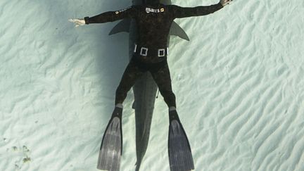 Un homme-grenouille nage avec un requin au large des Bahamas, le 9 janvier 2014. (RAUL BOESEL / SOLENT NEWS / SIPA)