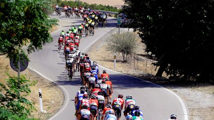 Le peloton de la Vuelta 2018 (MANUEL BRUQUE / EFE)