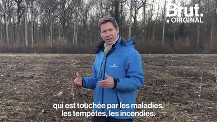 Fondée en 2010 par Stéphane Hallaire, Reforest'Action a pour objectif de répondre au réchauffement climatique et à la pollution.