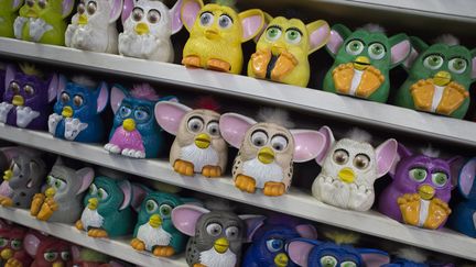 Une collection de Furby, jouet électronique, alignés sur les étagères du musée des ordures de Nelson Molina.
 (Don Emmert / AFP)