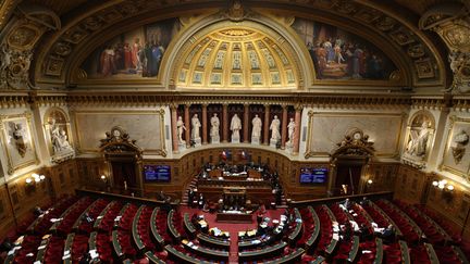 Une vue du Sénat à Paris, le 20 janvier 2022. (MAXPPP)