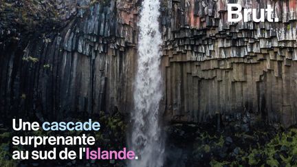 Ce n'est ni la plus grande, ni la plus puissante du pays. Mais avec ses colonnes de basaltes noires, cette chute d'eau en Islande est certainement l'une des plus surprenantes. Voici la cascade de Svartifoss.