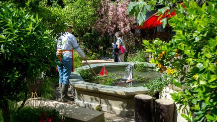 Des&nbsp;promeneurs visitent le jardin des Tuileries à Paris à l'occasion des "rendez-vous aux jardins", le 6 juin 2019. (MAXPPP)