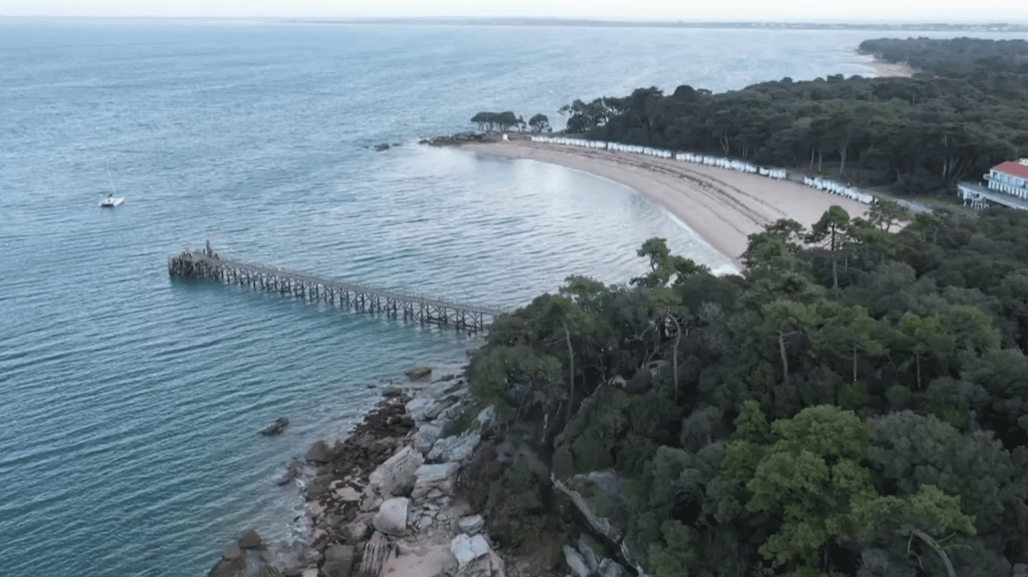 Vendée : de la mort-aux-rats découverte sur une plage sur l'île de  Noirmoutier