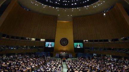 Ratification au siège des Nations Unies à New York de l'accord de Paris sur le climat. (AFP/ Jewel Samad)