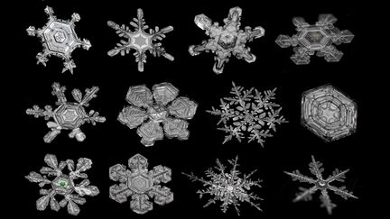 Gros plans de flocons de neige photographiés par Jason Persoff. (JASONPERSOFF.COM)