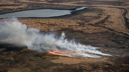 Un incendie dans le delta du Parana, le 1er août 2020 près de Rosario (Argentine). (MARCELO MANERA / AFP)