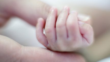 La main d'un b&eacute;b&eacute; n&eacute; pr&eacute;matur&eacute;.&nbsp; (SCIENCE PHOTO LIBRARY/AFP)