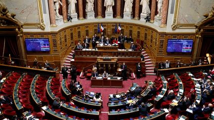 Le Sénat, à Paris, le 1er février 2023. (LUDOVIC MARIN / AFP)