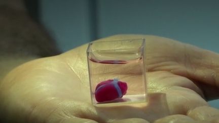 Sciences : un micro-cœur imprimé en 3D