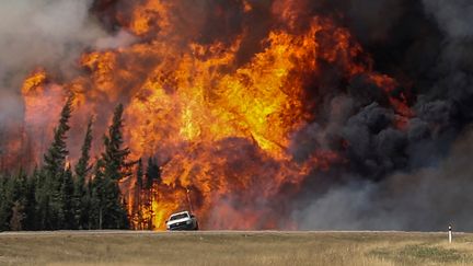 Une voiture est arrêtée au bord de l'autoroute près de Fort McMurray (Alberta, Canada), en proie aux flammes, le 7 mai 2016. (MARK BLINCH / REUTERS)