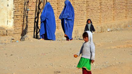 Sur les 15 millions de femmes que compte l'Afghanistan, 11 millions vivent en milieu rural dans des zones reculées.&nbsp; (JAVED TANVEER / AFP)