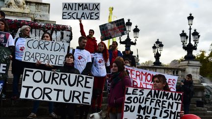 Des manifestants contre la maltraitance animale, le 5 novembre 2017 à Bordeaux (Gironde). (NICOLAS TUCAT / AFP)