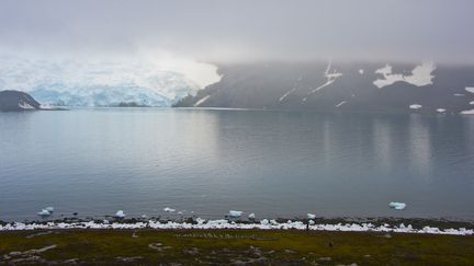 Photo prise de la base br&eacute;silienne Comandante Ferraz, le 10 mars 2014, en Antarctique. (VANDERLEI ALMEIDA / AFP)