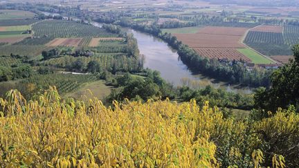 Clairac (Lot-et-Garonne), o&ugrave; les restes d'un nourrisson ont &eacute;t&eacute; d&eacute;couverts mardi 18 septembre 2012. (BRUNO BARBIER / ONLY FRANCE / AFP)