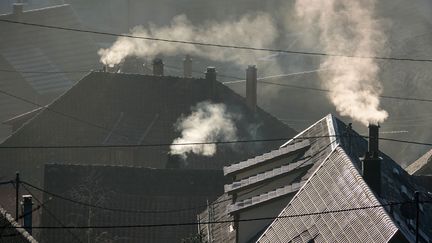 Fumées de cheminées par bois de chauffage. (Image d'illustration) (FRANCK DELHOMME / MAXPPP)