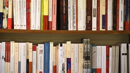 Des livres exposés dans les rayons d'une librairie à Rennes,&nbsp;le 5 septembre 2017 (photo d'illustration). (DAMIEN MEYER / AFP)