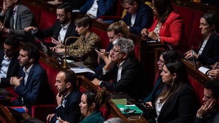 Le banc des députés LFI à l'Assemblée nationale le 28 novmebre 2024 pendant l'examen de leur niche parlementaire. (ANDREA SAVORANI NERI / MAXPPP)