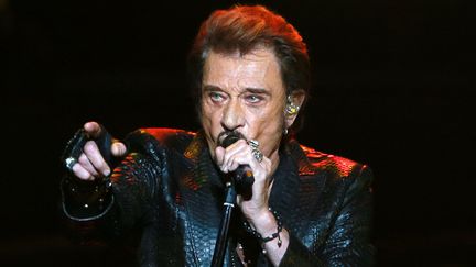 Le chanteur Johnny Hallyday en concert à Moscou, le 27 octobre 2012 (ANTON DENISOV / SPUTNIK)