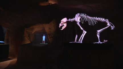 Une salle immersive pour que les visiteurs se sentent comme des scientifiques dans une grotte a été installée au musée. (France 3 Alpes : J. Gueant / M. Quemener / T. Huynh)