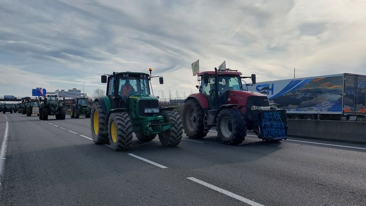 Un convoi d'agriculteurs roule sur l'autoroute A6, dans l'Essonne, le 29 janvier 2024. (FABIEN MAGNENOU / FRANCEINFO)