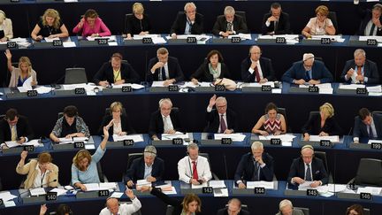 Les eurodéputés en séance plénière, le 12 septembre 2018.&nbsp; (FREDERICK FLORIN / AFP)