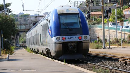 Un&nbsp;aide chef d'escale a sauvé un homme happé par un train, vendredi 3 mars 2017 en gare de Vierzon (Cher). (MAXPPP)